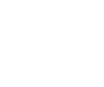 Disa Logo